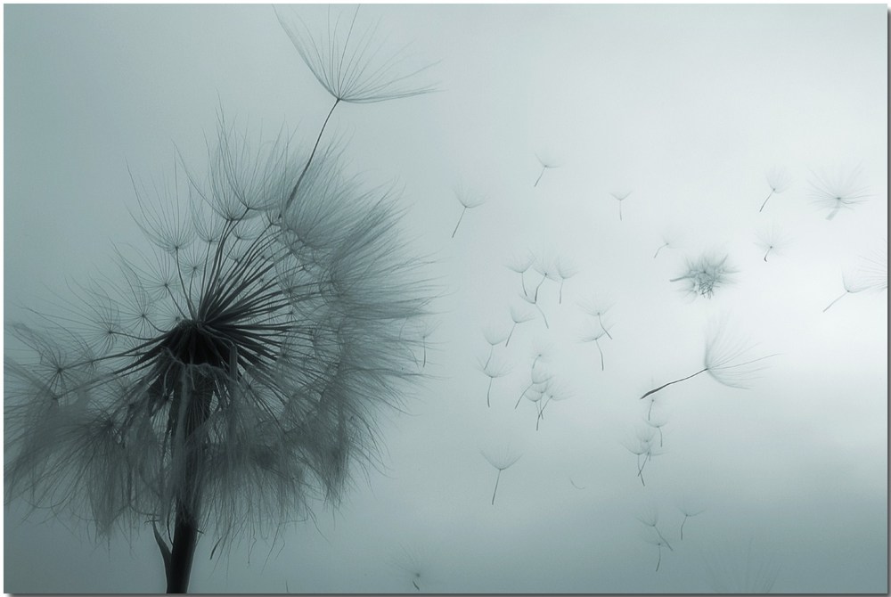 Você foi um presente que a vida me deu. Porém, com&nbsp;validade.